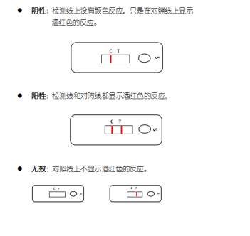 牛、羊衣原體抗體膠體金快速檢測(cè)卡